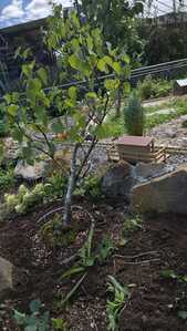 IMG 20250824 133257